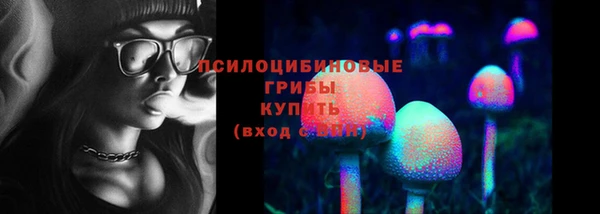 гашик Арсеньев