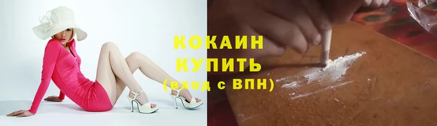 гашик Арсеньев