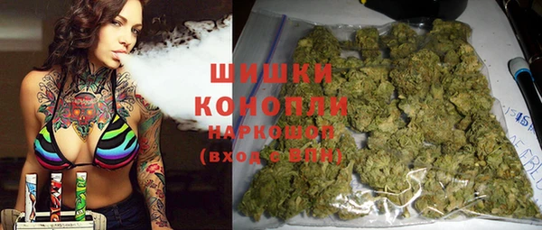 гашик Арсеньев