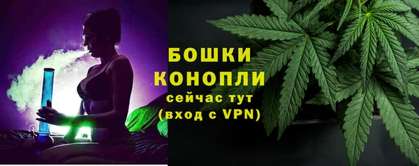 гашик Арсеньев