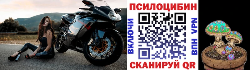 Псилоцибиновые грибы прущие грибы Мглин